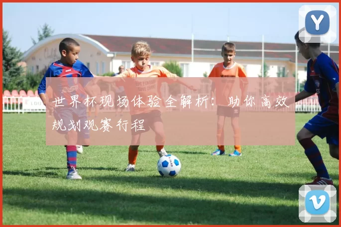 世界杯现场体验全解析：助你高效规划观赛行程