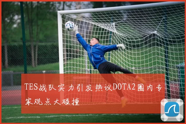 TES战队实力引发热议DOTA2圈内专家观点大碰撞