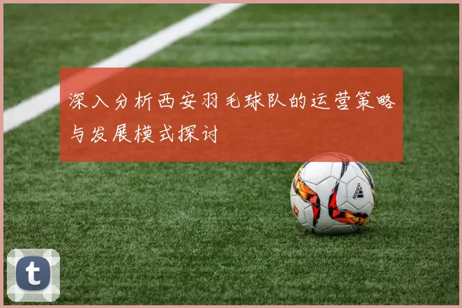 深入分析西安羽毛球队的运营策略与发展模式探讨