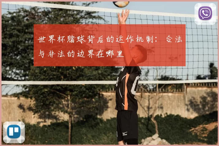 世界杯赌球背后的运作机制：合法与非法的边界在哪里