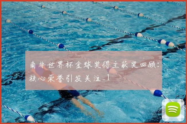 南非世界杯金球奖得主获奖回顾：核心荣誉引发关注_1