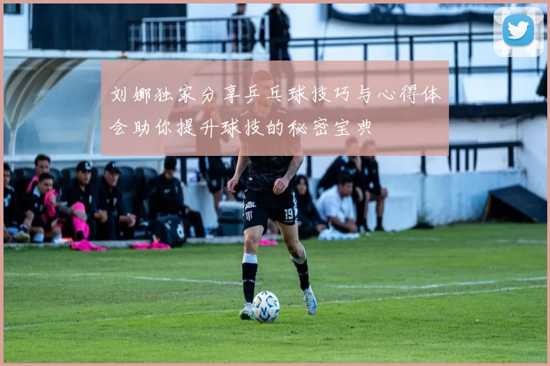 刘娜独家分享乒乓球技巧与心得体会助你提升球技的秘密宝典