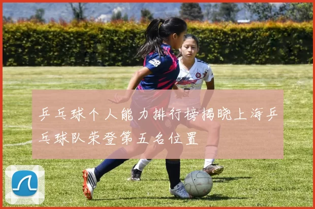 乒乓球个人能力排行榜揭晓上海乒乓球队荣登第五名位置