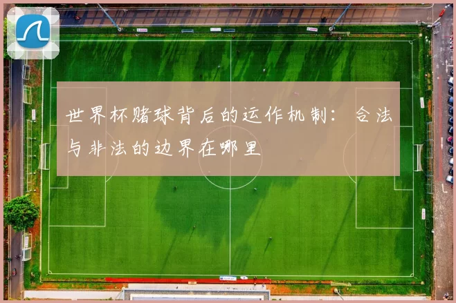 世界杯赌球背后的运作机制：合法与非法的边界在哪里