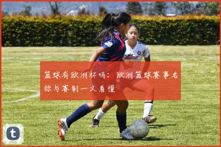 篮球有欧洲杯吗:欧洲篮球赛事名称与赛制一文看懂